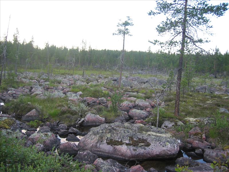 Sweden 2006-04 150